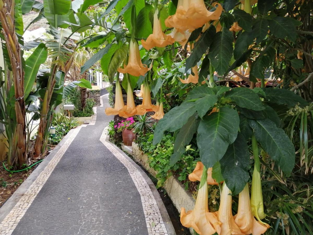 Casa Lg Villa Jardim do Mar Dış mekan fotoğraf